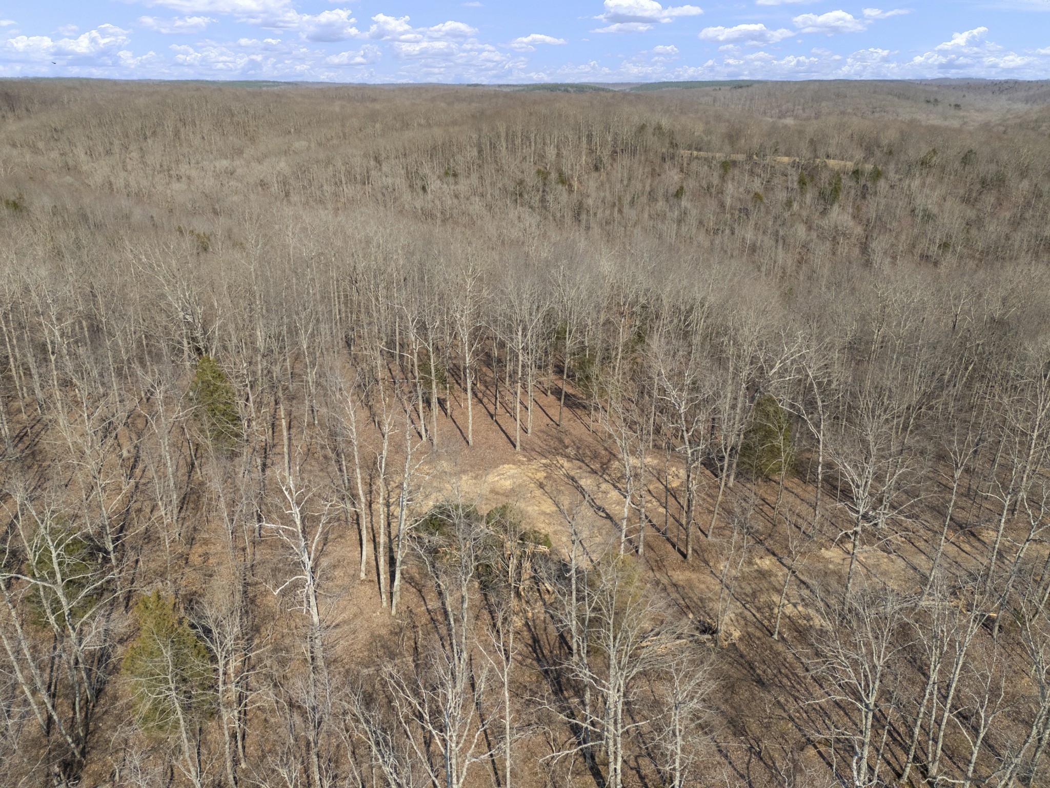 3900 Roan Creek Road Lobelville, TN 37097 - Photo 29 of 38