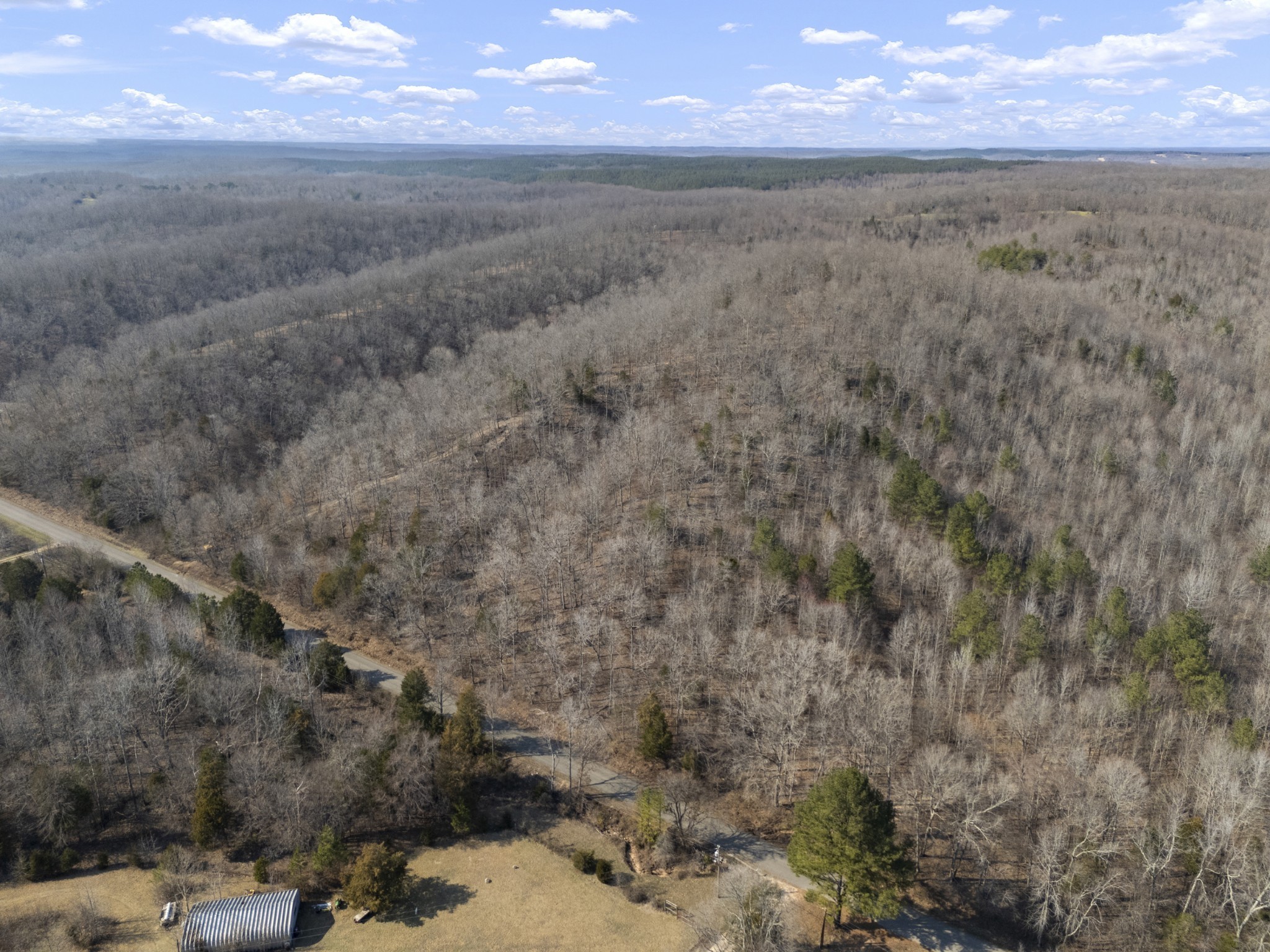 3900 Roan Creek Road Lobelville, TN 37097 - Photo 30 of 38 a view of a dry yard