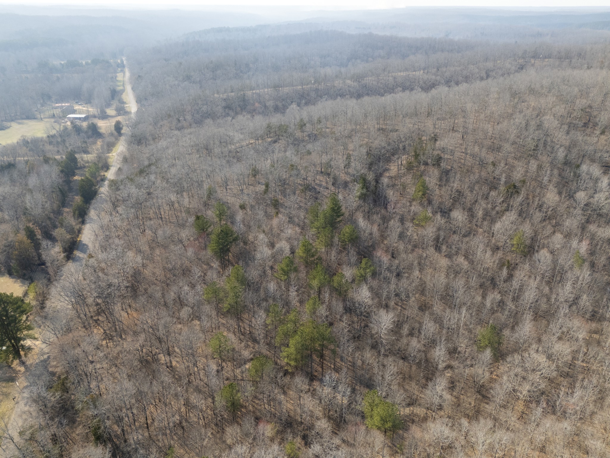 3900 Roan Creek Road Lobelville, TN 37097 - Photo 31 of 38 a view of a dry yard with trees