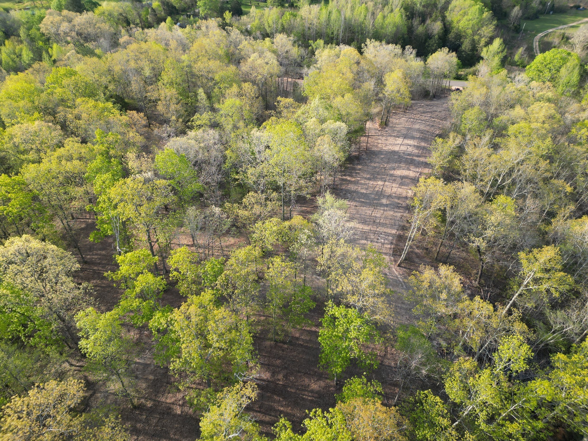 3900 Roan Creek Road Lobelville, TN 37097 - Photo 38 of 38 a view of a yard with plants