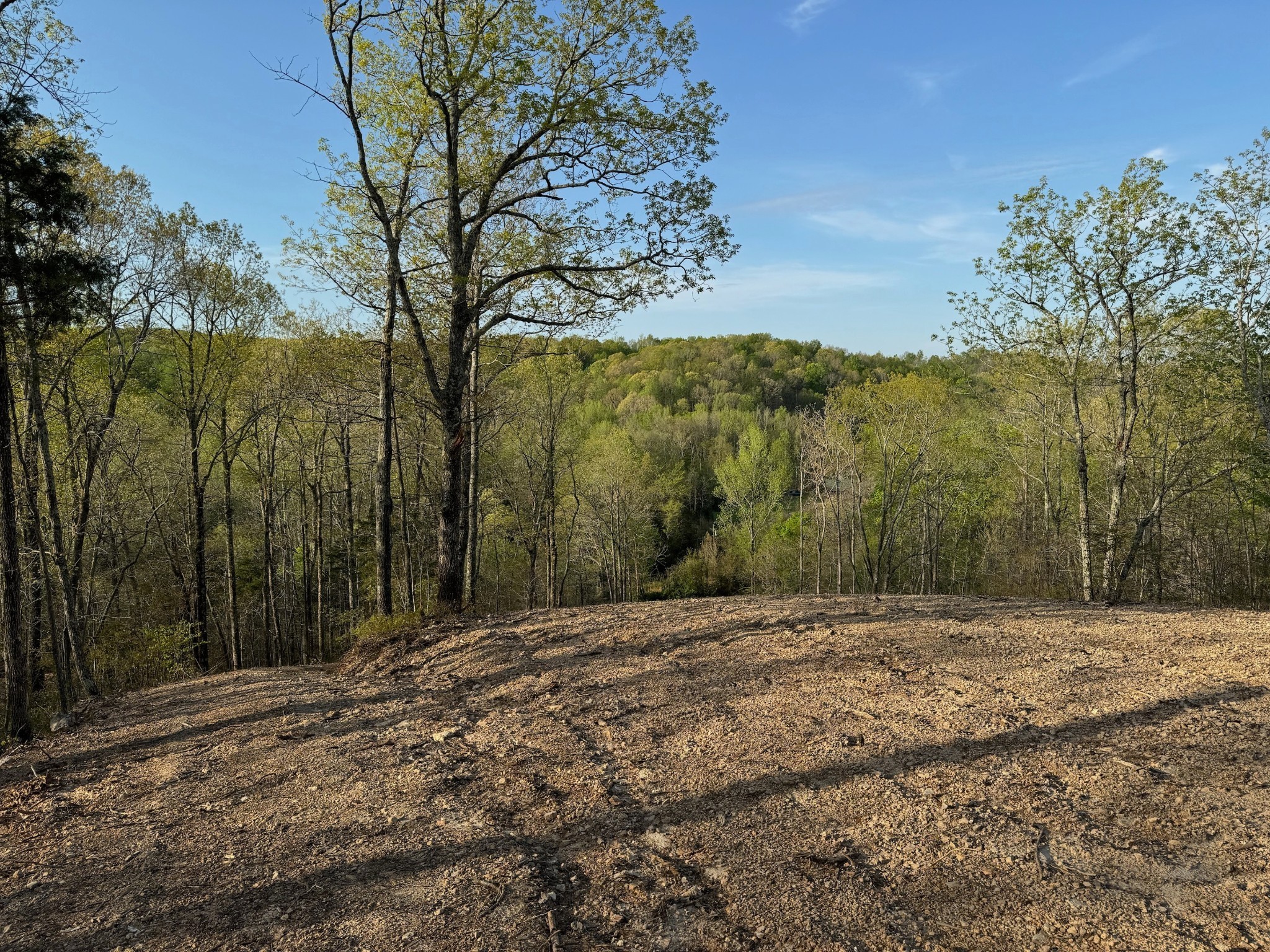 3900 Roan Creek Road Lobelville, TN 37097 - Photo 4 of 38 a view of road with trees