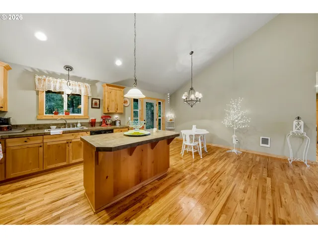 a large kitchen with stainless steel appliances a large counter space a sink and a wooden floors