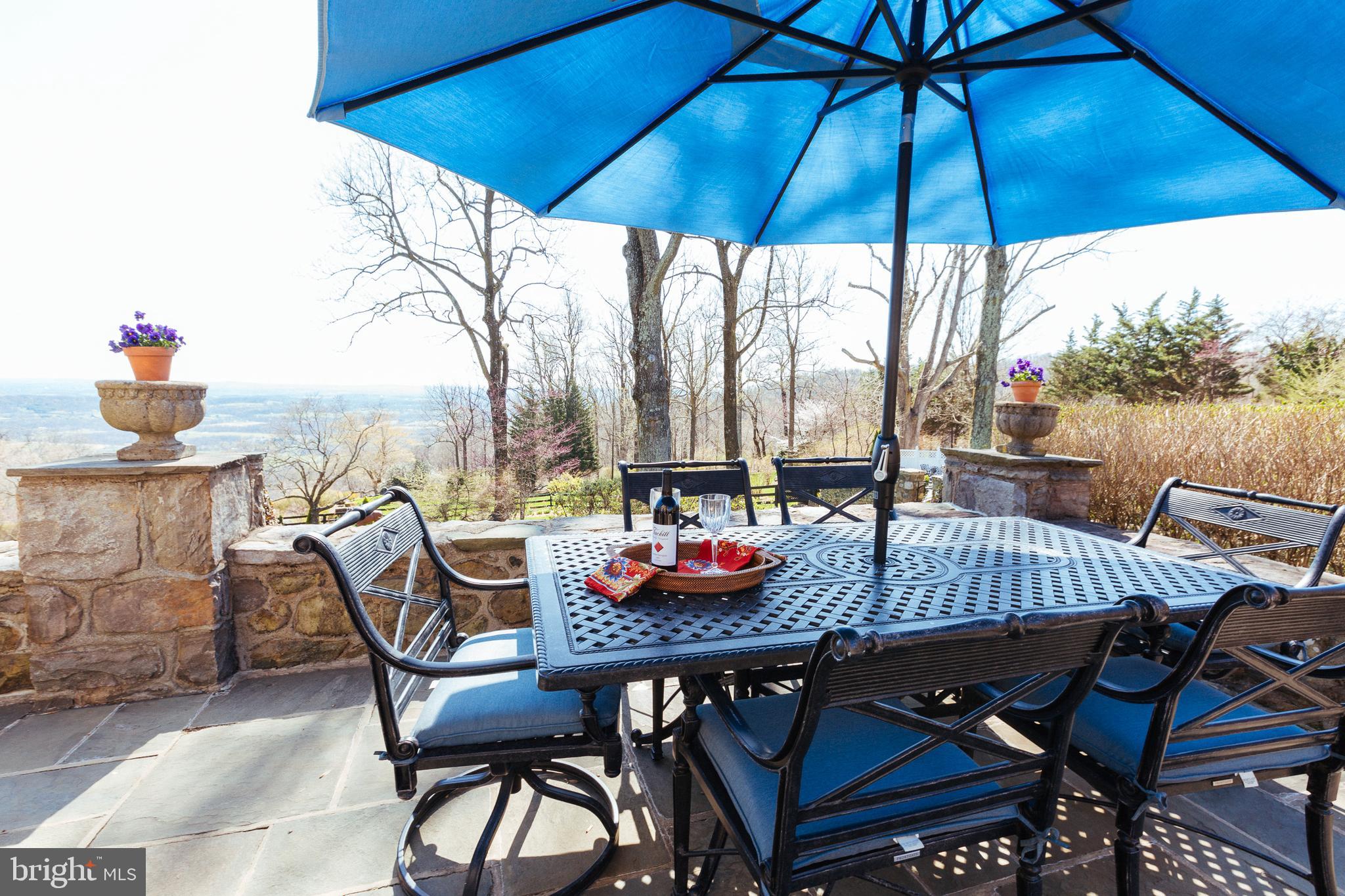 18490 Blue Ridge Mountain Road Bluemont, VA 20135 - Photo 13 of 87 Flagstone Patio off the sunroom with valley views.