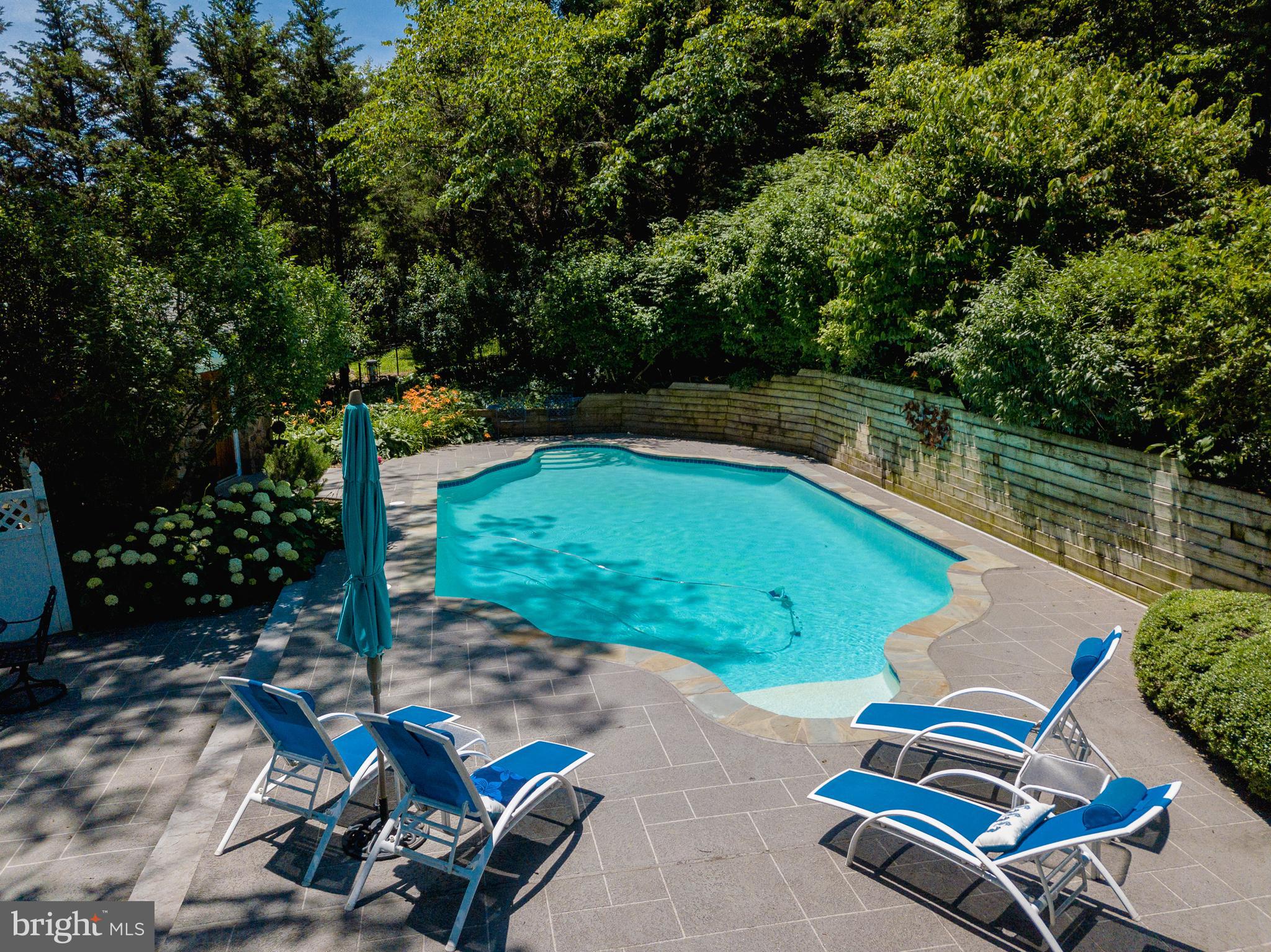 18490 Blue Ridge Mountain Road Bluemont, VA 20135 - Photo 16 of 87 Heated Pool
