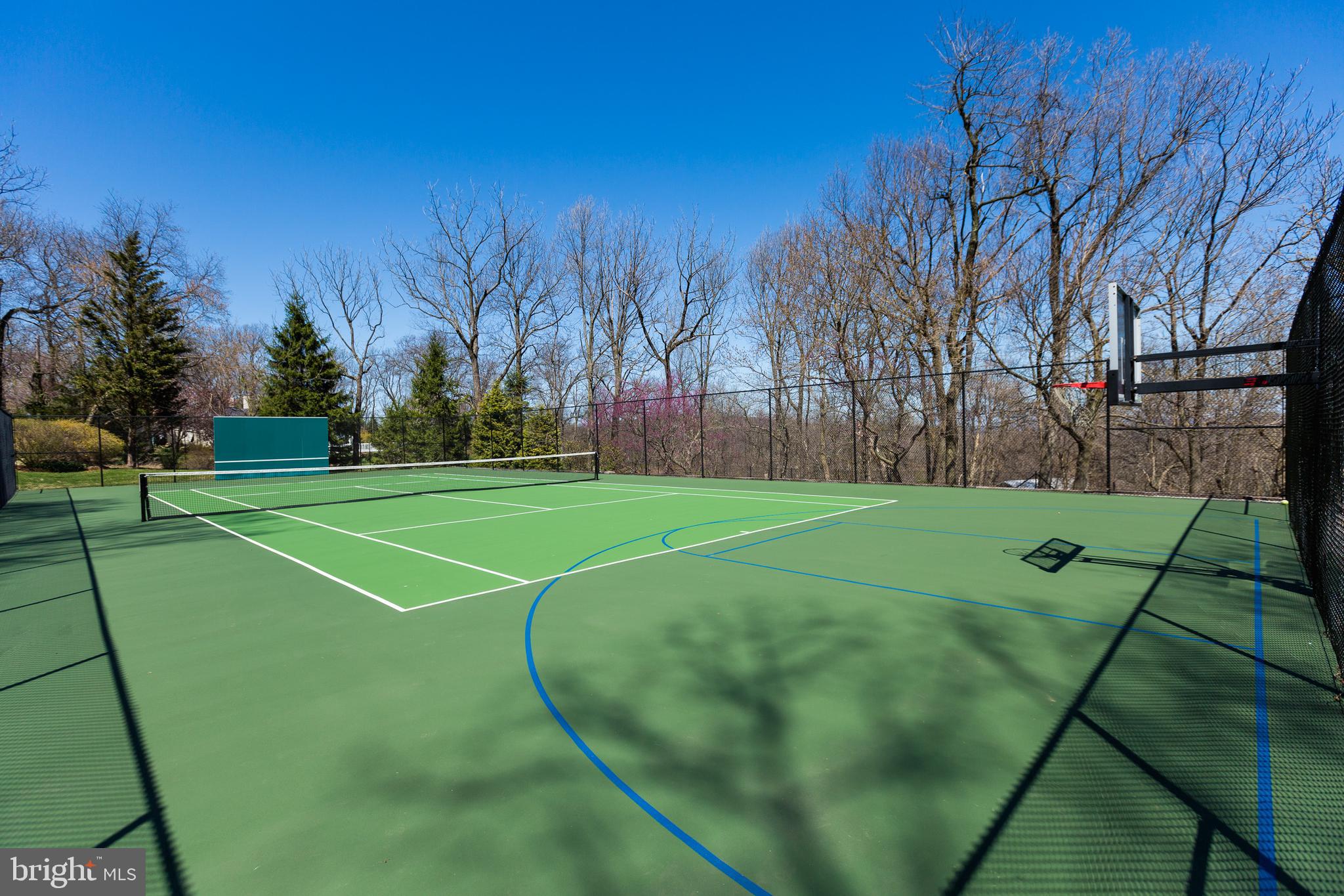 18490 Blue Ridge Mountain Road Bluemont, VA 20135 - Photo 19 of 87 Baseketball court