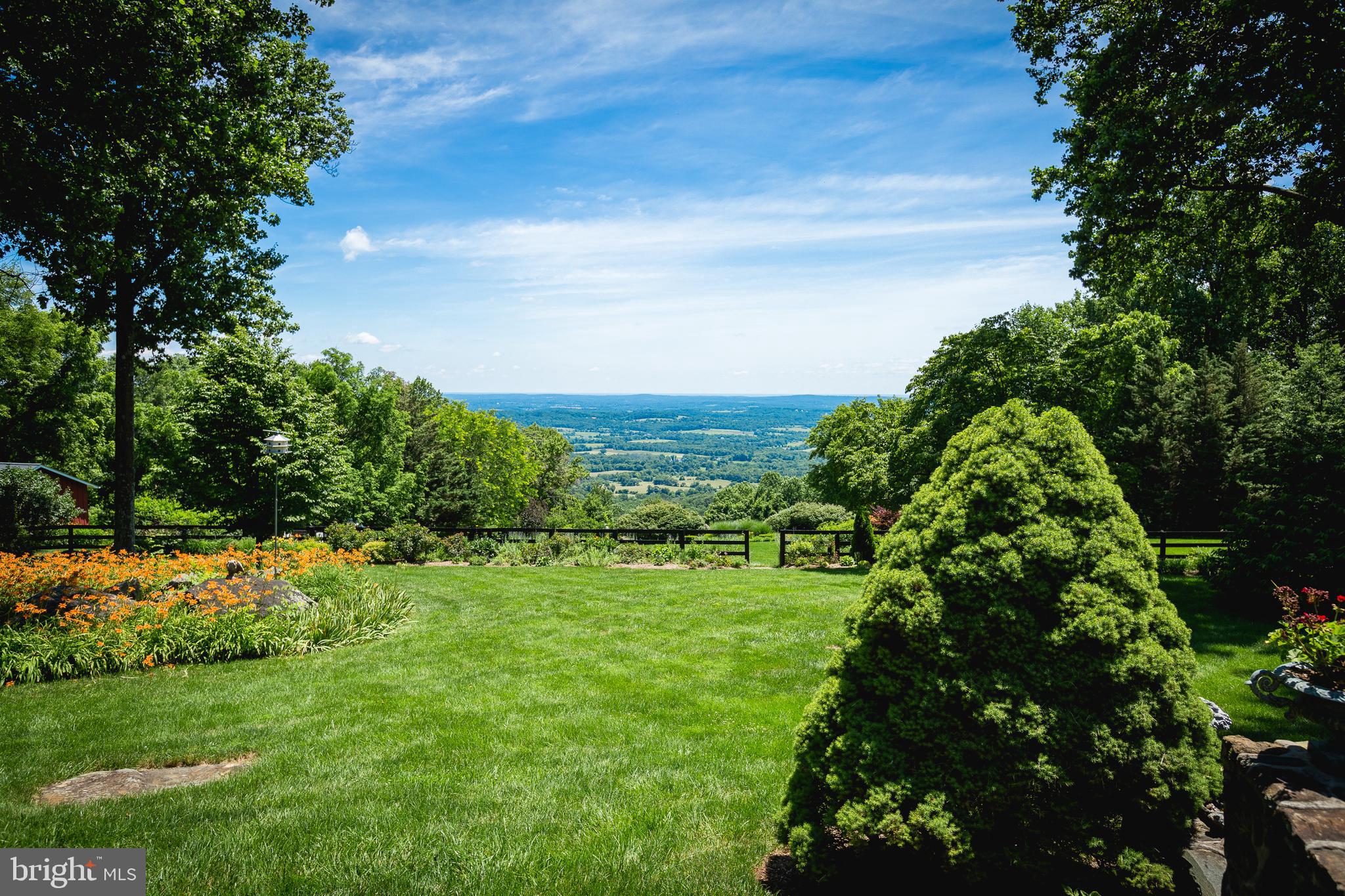 18490 Blue Ridge Mountain Road Bluemont, VA 20135 - Photo 4 of 87 View from the back porch in summer.