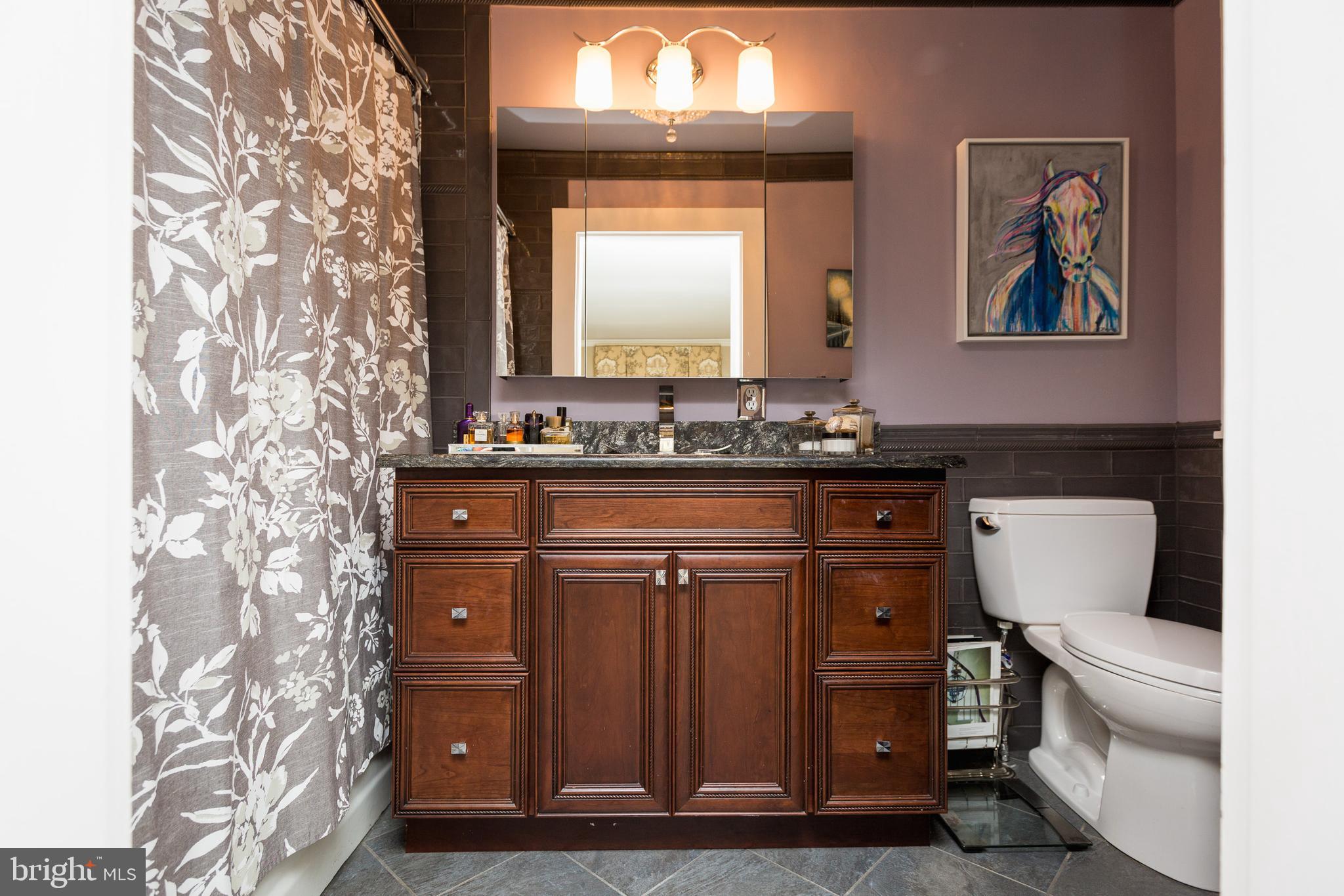 18490 Blue Ridge Mountain Road Bluemont, VA 20135 - Photo 51 of 87 His and her bathrooms.