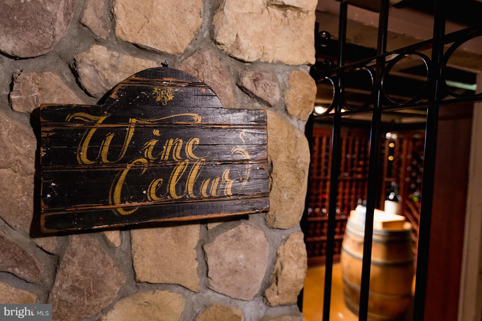 18490 Blue Ridge Mountain Road Bluemont, VA 20135 - Photo 67 of 87 Wine Cellar in the lower level