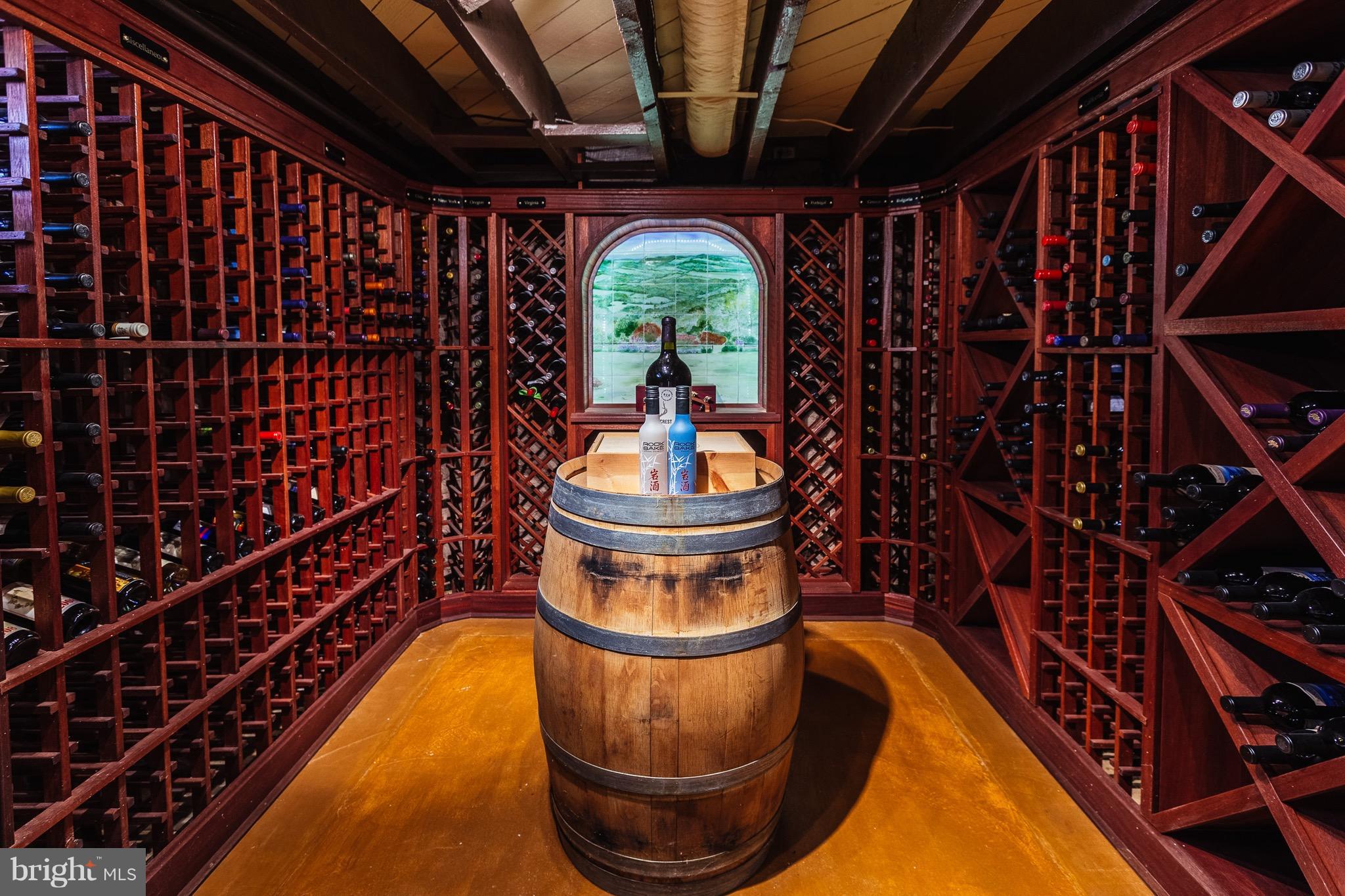18490 Blue Ridge Mountain Road Bluemont, VA 20135 - Photo 68 of 87 Wine Cellar organized by country and region