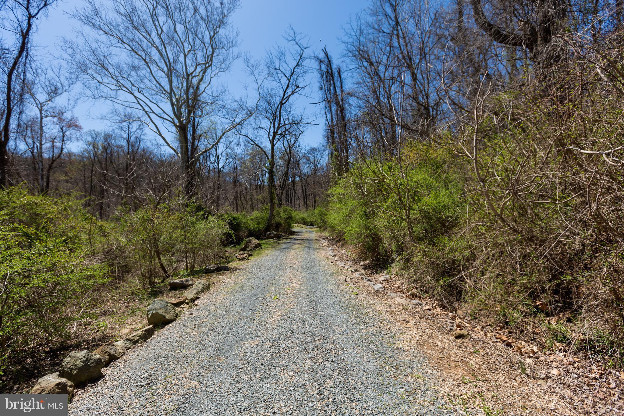 18490 Blue Ridge Mountain Road Bluemont, VA 20135 - Photo 73 of 87 The road leading to your private hunting cabin