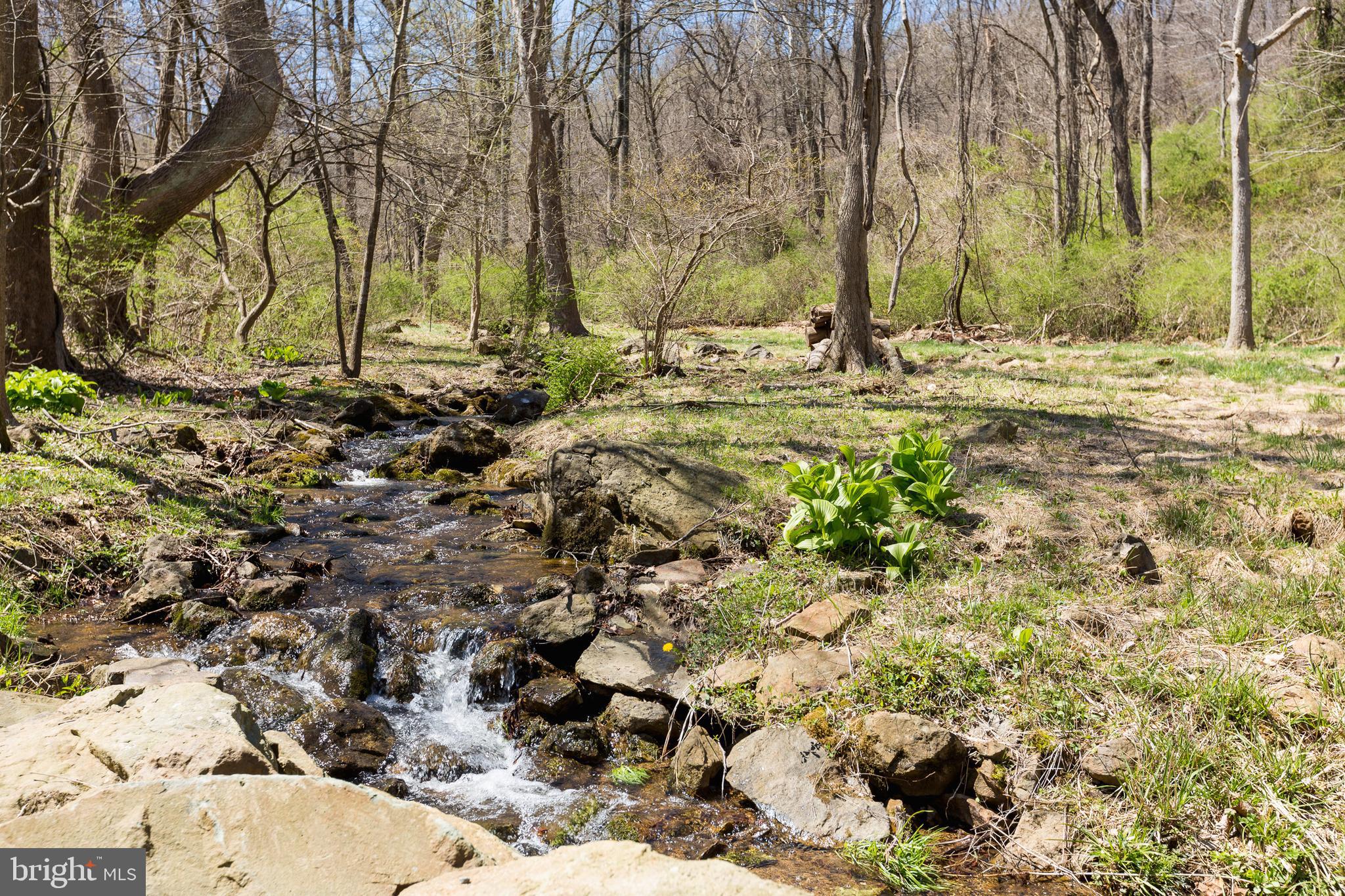 18490 Blue Ridge Mountain Road Bluemont, VA 20135 - Photo 84 of 87 Natural mountain fed stream