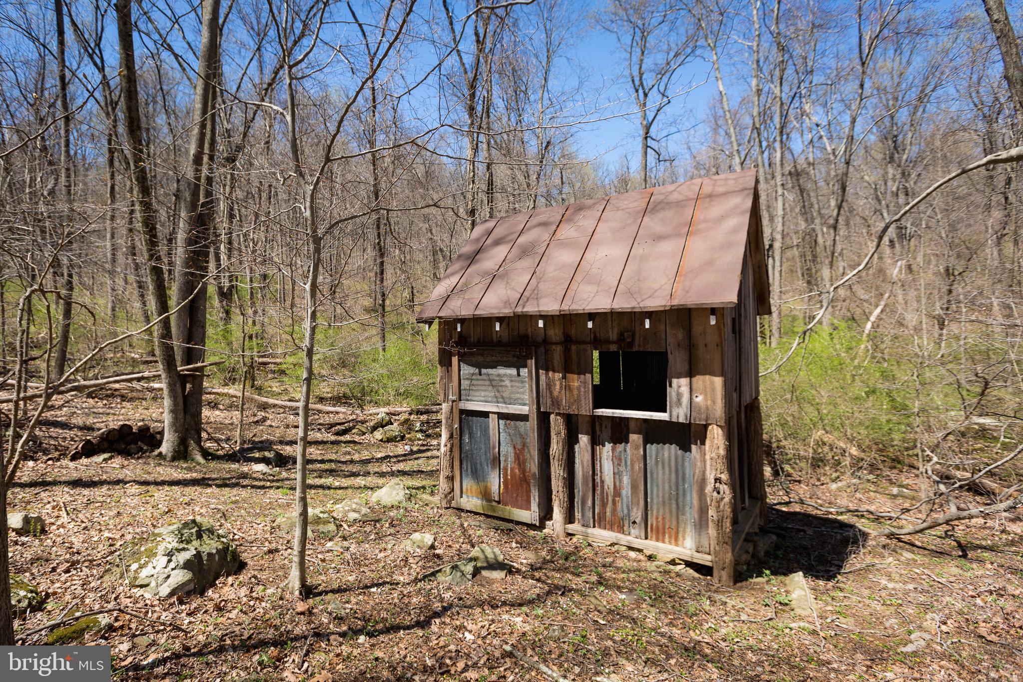 18490 Blue Ridge Mountain Road Bluemont, VA 20135 - Photo 85 of 87 Butchers cabin
