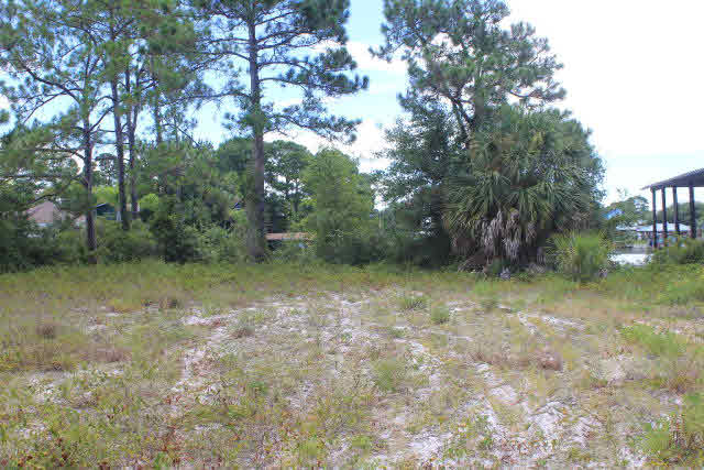 161 Highway 161 Orange Beach, AL 36561 - Photo 5 of 7