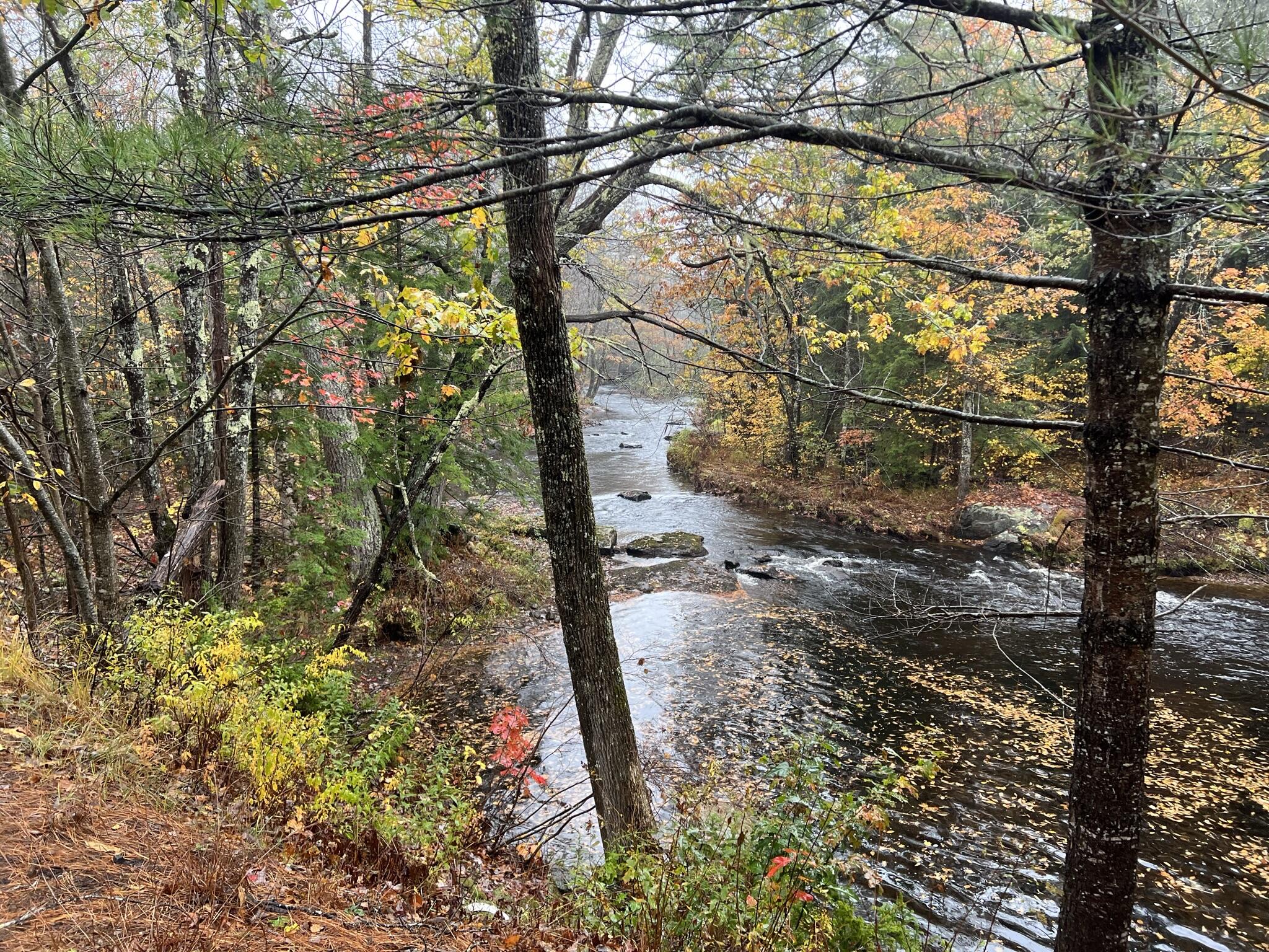 Tbd Lot Norway Road Waterford, ME 04088 - Photo 1 of 21 Frontage