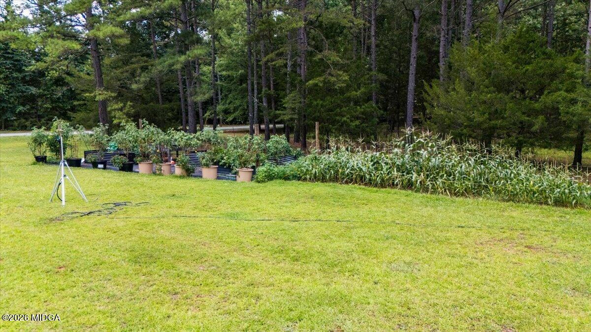 409 Madison Lane Forsyth, GA 31029 - Photo 30 of 33 33