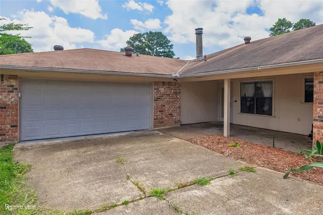a view of a yard with plants and a large tree