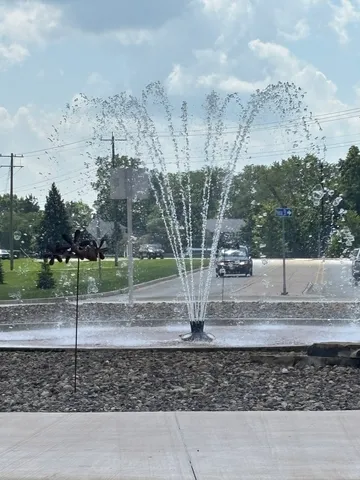a view of a yard with large trees