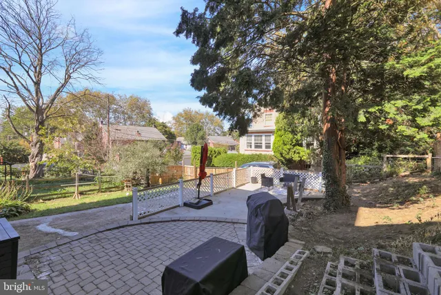 a view of a yard with plants and a barbeque