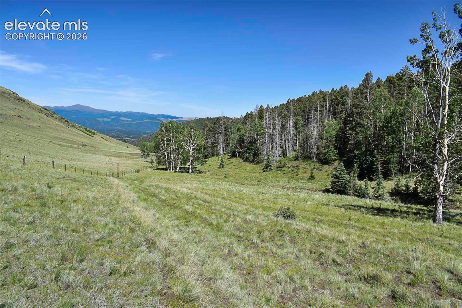 0 Bear Cat Road Guffey, CO 80820 - Photo 9 of 40 Gallery Image 9