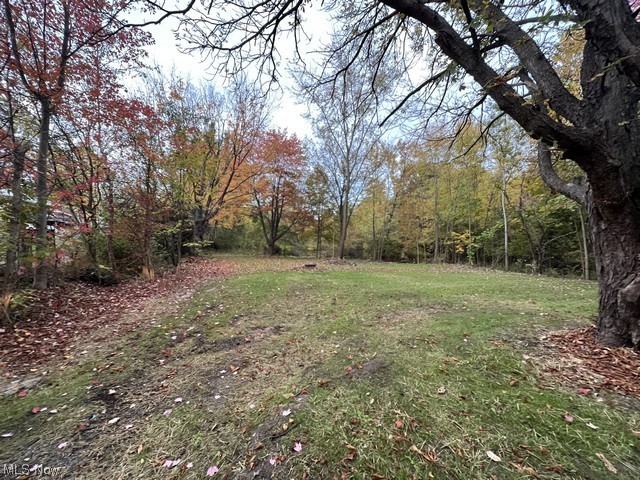 6742 Warren - Sharon Road Brookfield, OH 44403 - Photo 11 of 16 View of yard