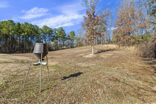 $929,900 | 167 Dogwood Trace, Brandon, MS 39042