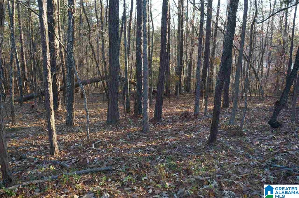 0 Azalea Road, Unit 16 & 17 Sylacauga, AL 35150 - Photo 5 of 8