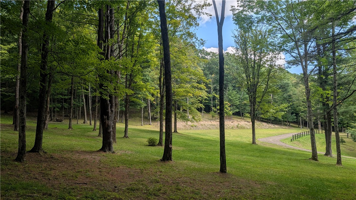 316 Seminary Road Hartwick, NY 13807 - Photo 16 of 46 Gallery Image 16