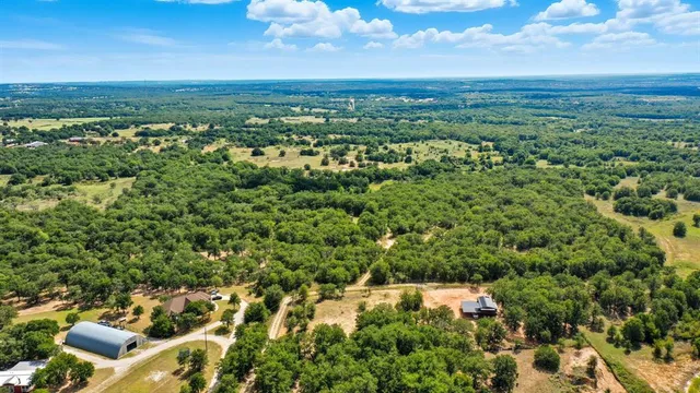 a view of a city with lush green forest