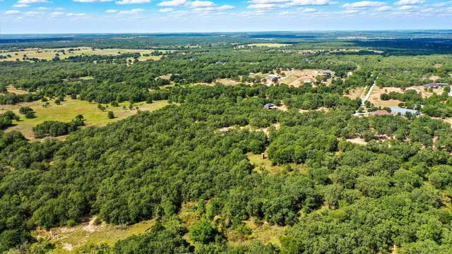 a view of a big yard with lots of bushes