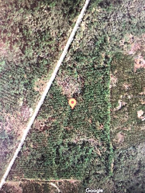35 Madison Main Line Perry, FL 32347 - Photo 5 of 5 Gallery Image 5