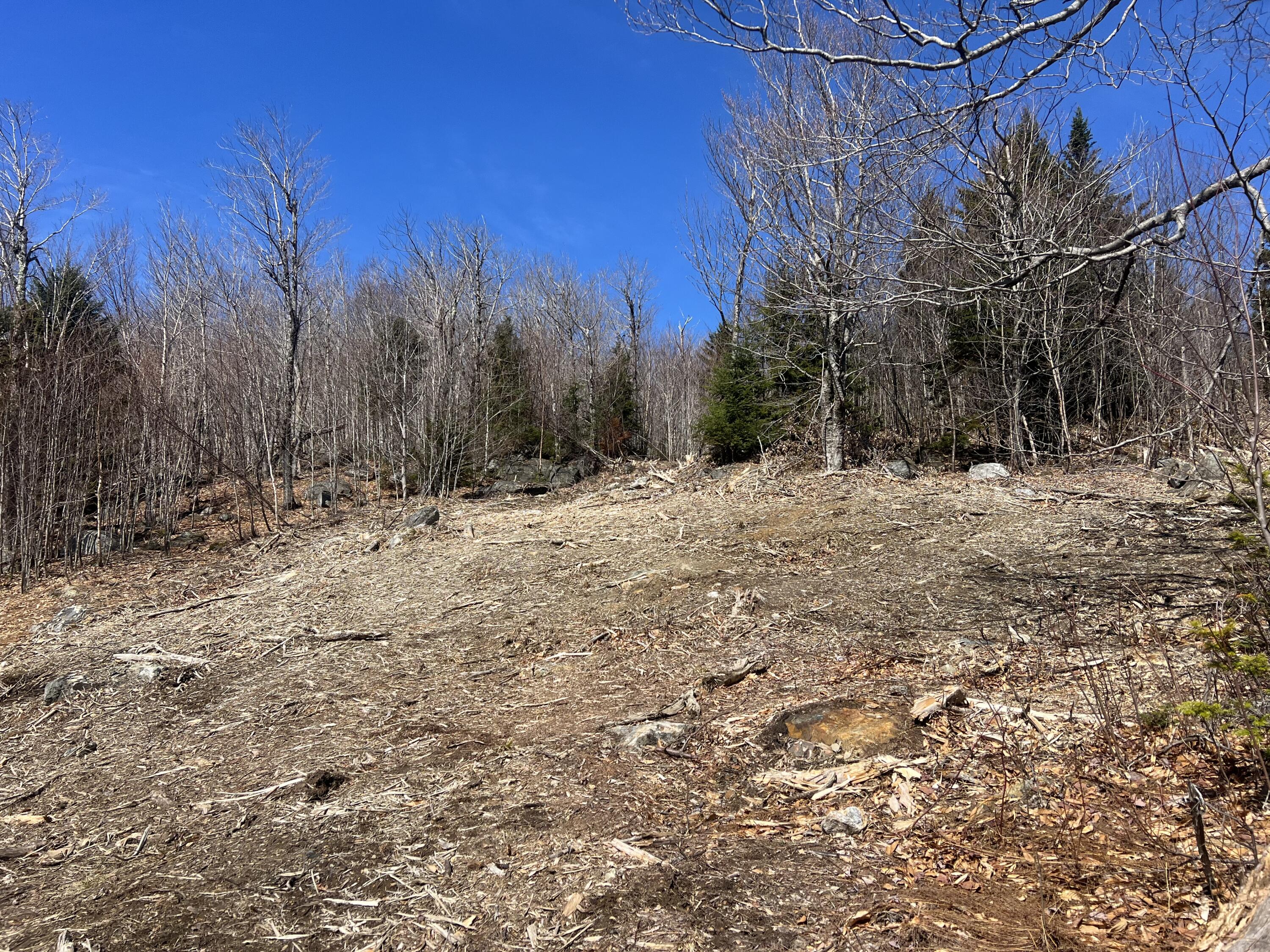 14 Moose Alley Rangeley, ME 04970 - Photo 3 of 11 IMG_5431