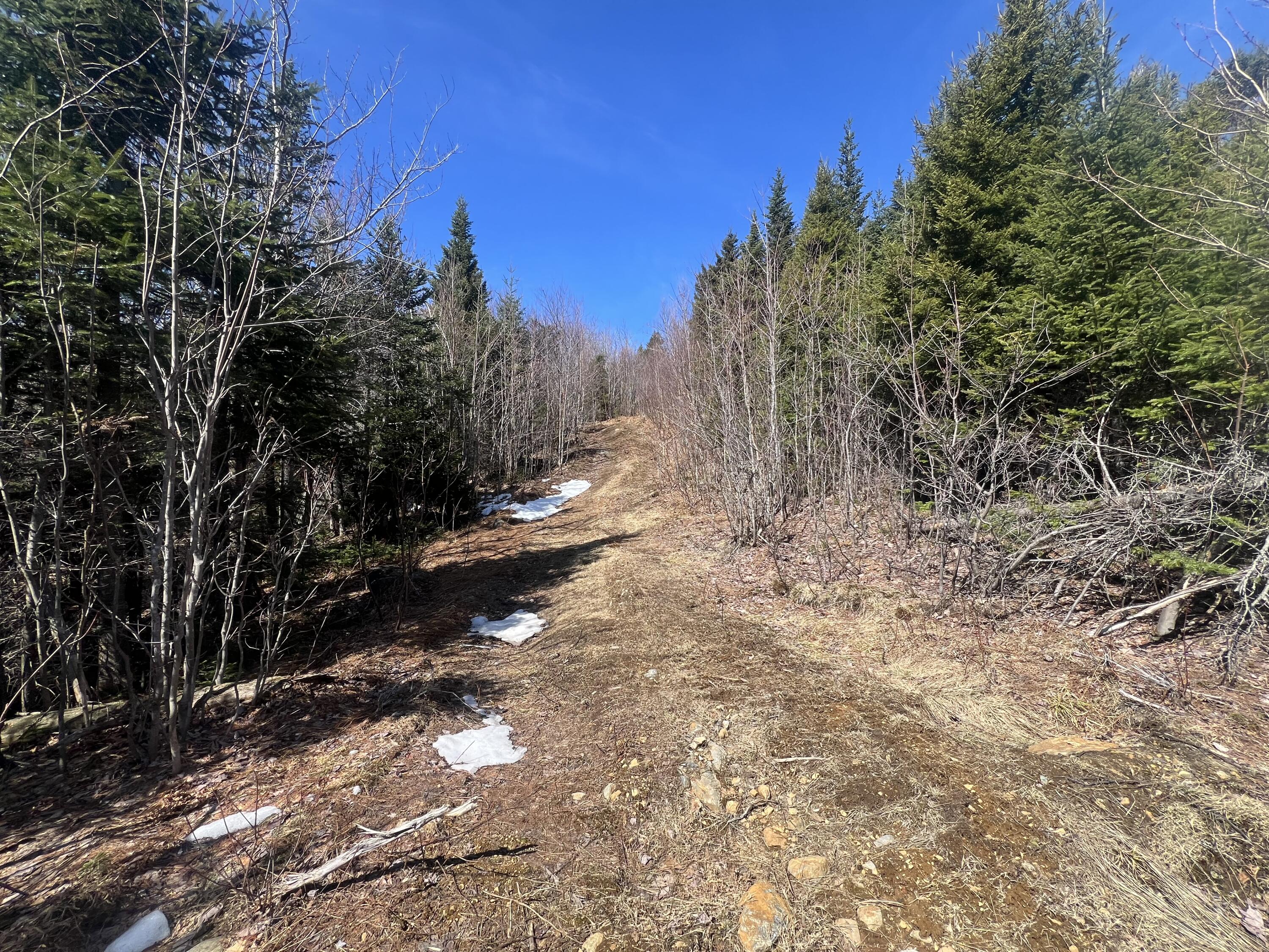 14 Moose Alley Rangeley, ME 04970 - Photo 6 of 11 IMG_5430