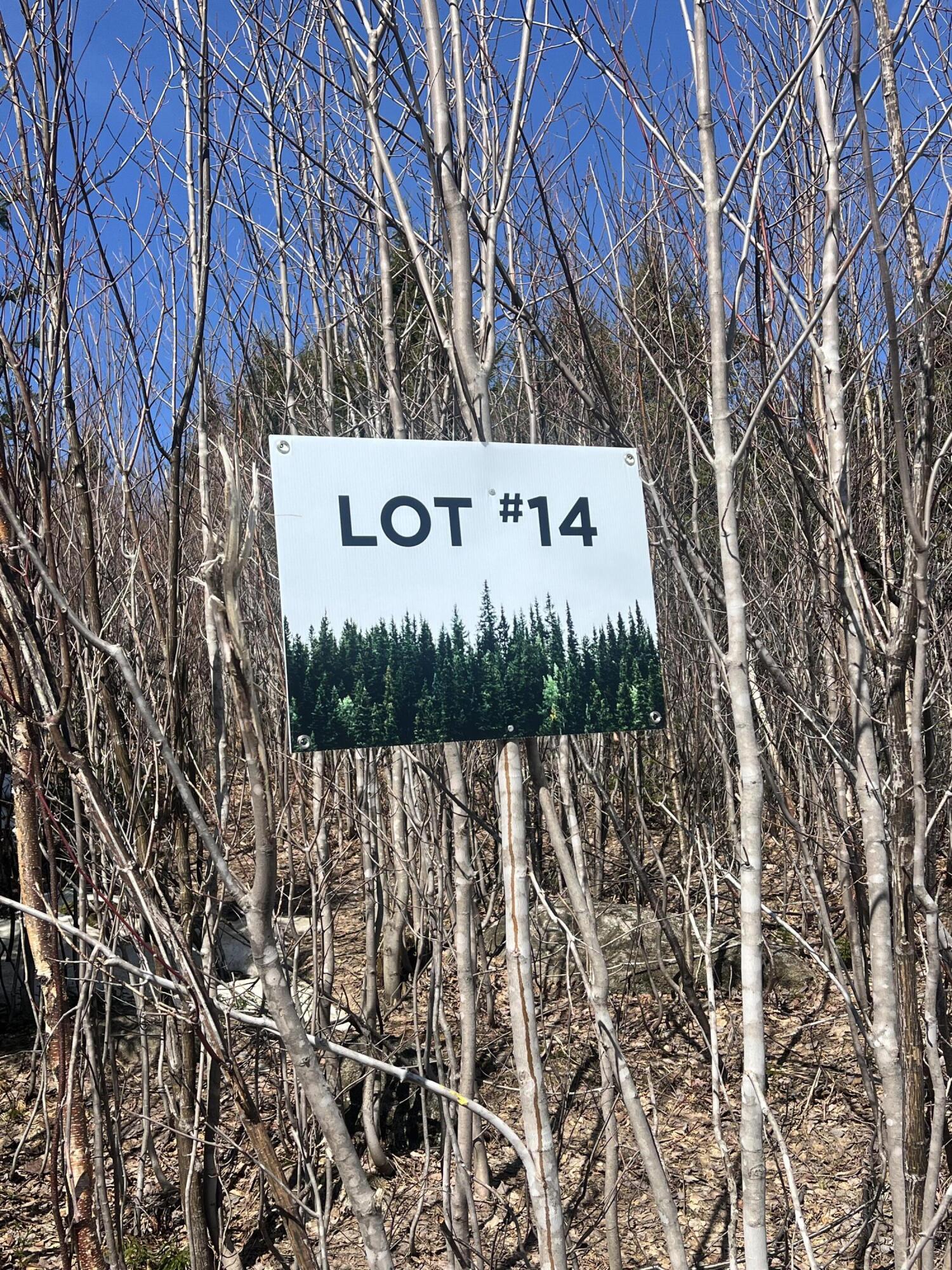 14 Moose Alley Rangeley, ME 04970 - Photo 7 of 11 IMG_5427