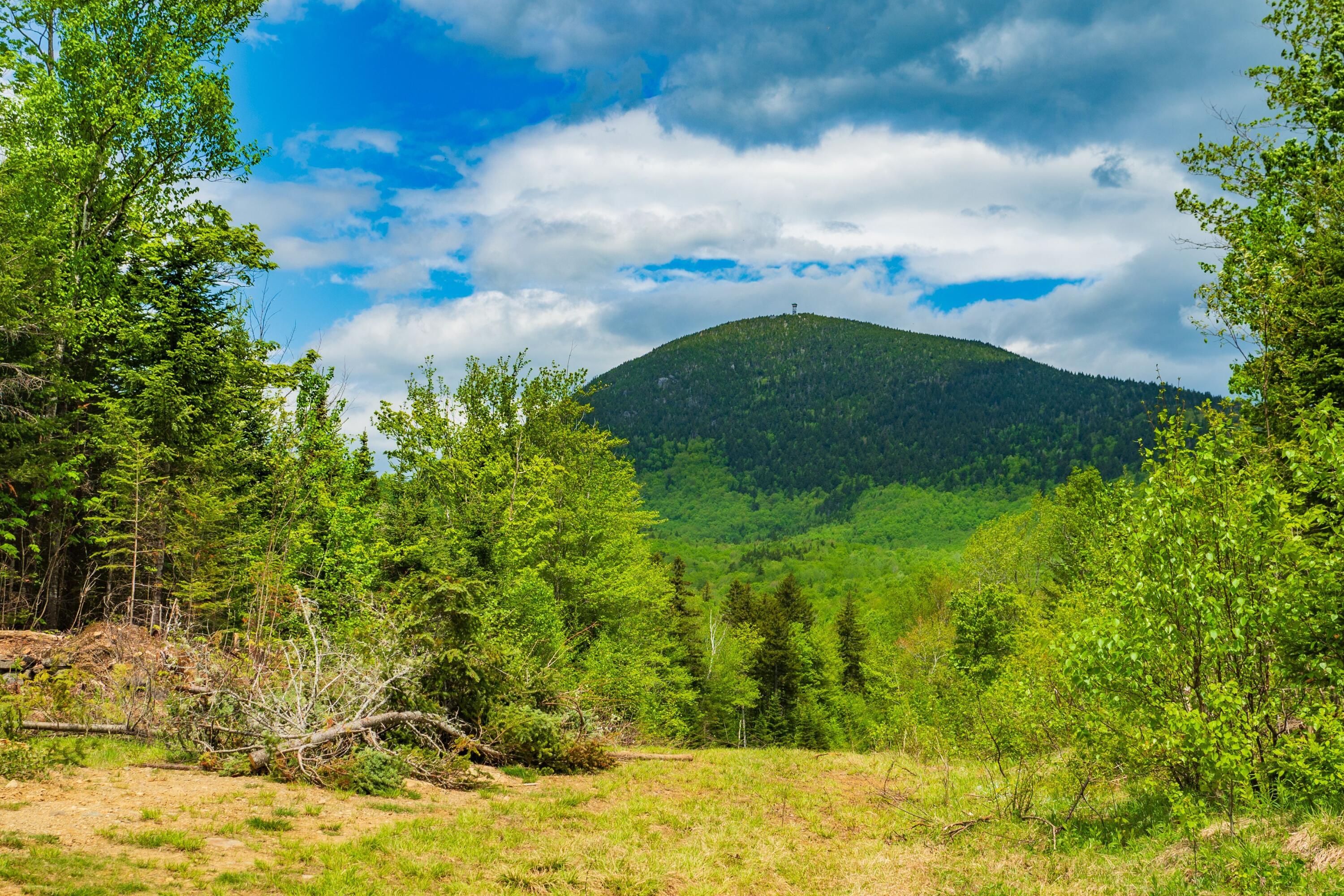 14 Moose Alley Rangeley, ME 04970 - Photo 9 of 11 Mt Blue
