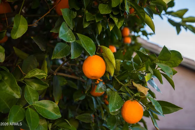 $650,000 | 4506 East Lone Cactus Drive, Phoenix, AZ 85050