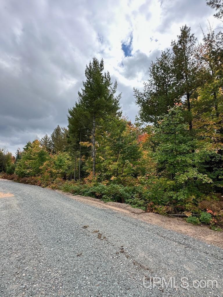 Tbd Forge Road Negaunee, MI 49866 - Photo 2 of 3