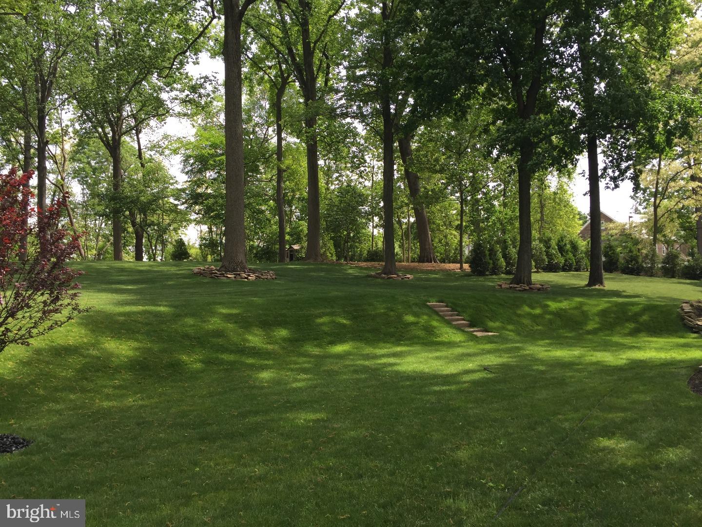 1041 East Sandy Ridge Road Doylestown, PA 18901 - Photo 23 of 24 Back Yard