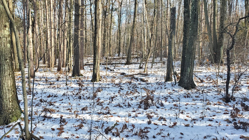 Lot 3 High Bluff Estates Road Sturgeon Bay, WI 54235 - Photo 4 of 6
