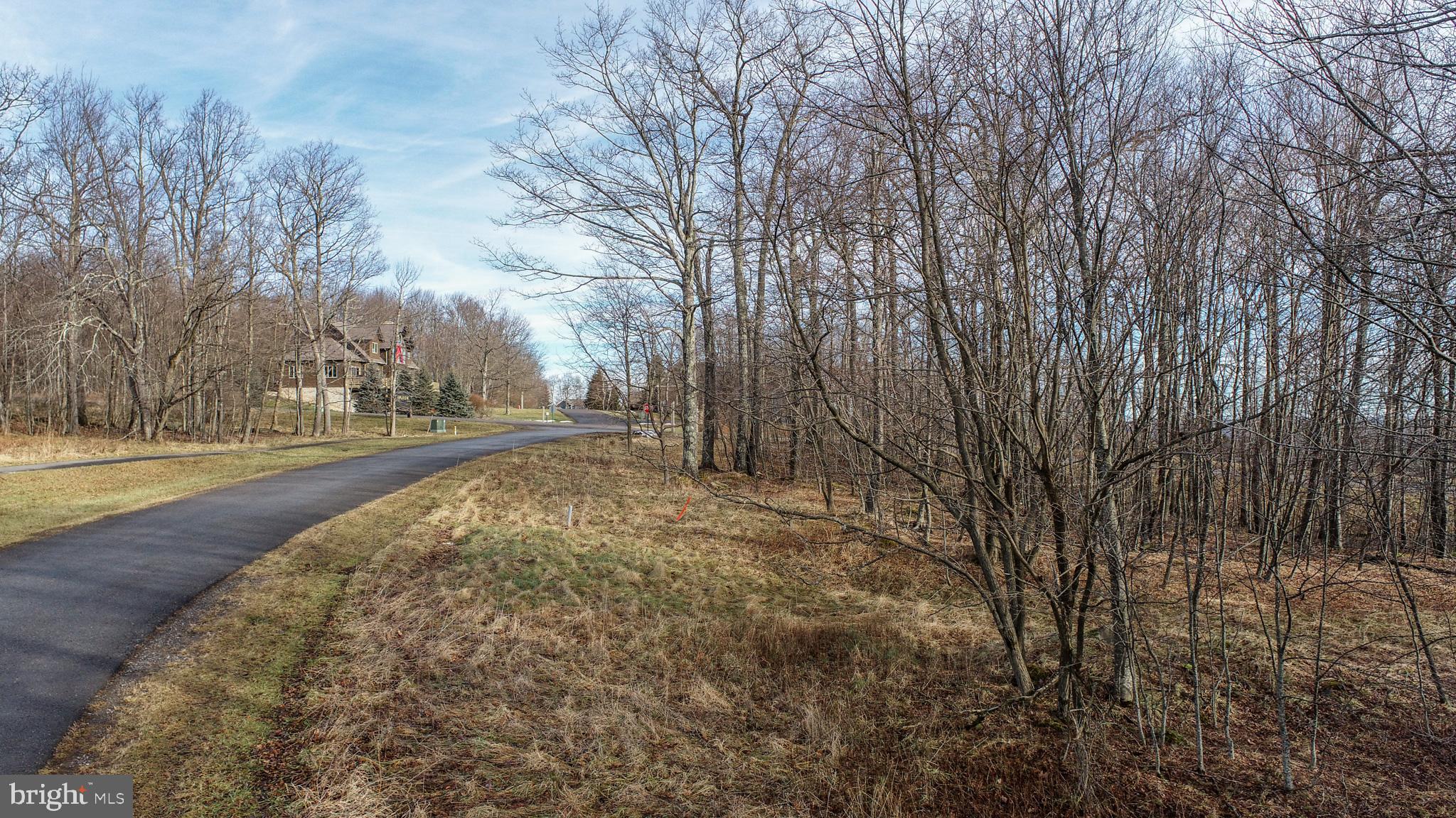 120 Sundance Way McHenry, MD 21541 - Photo 8 of 13 a view of outdoor space with trees