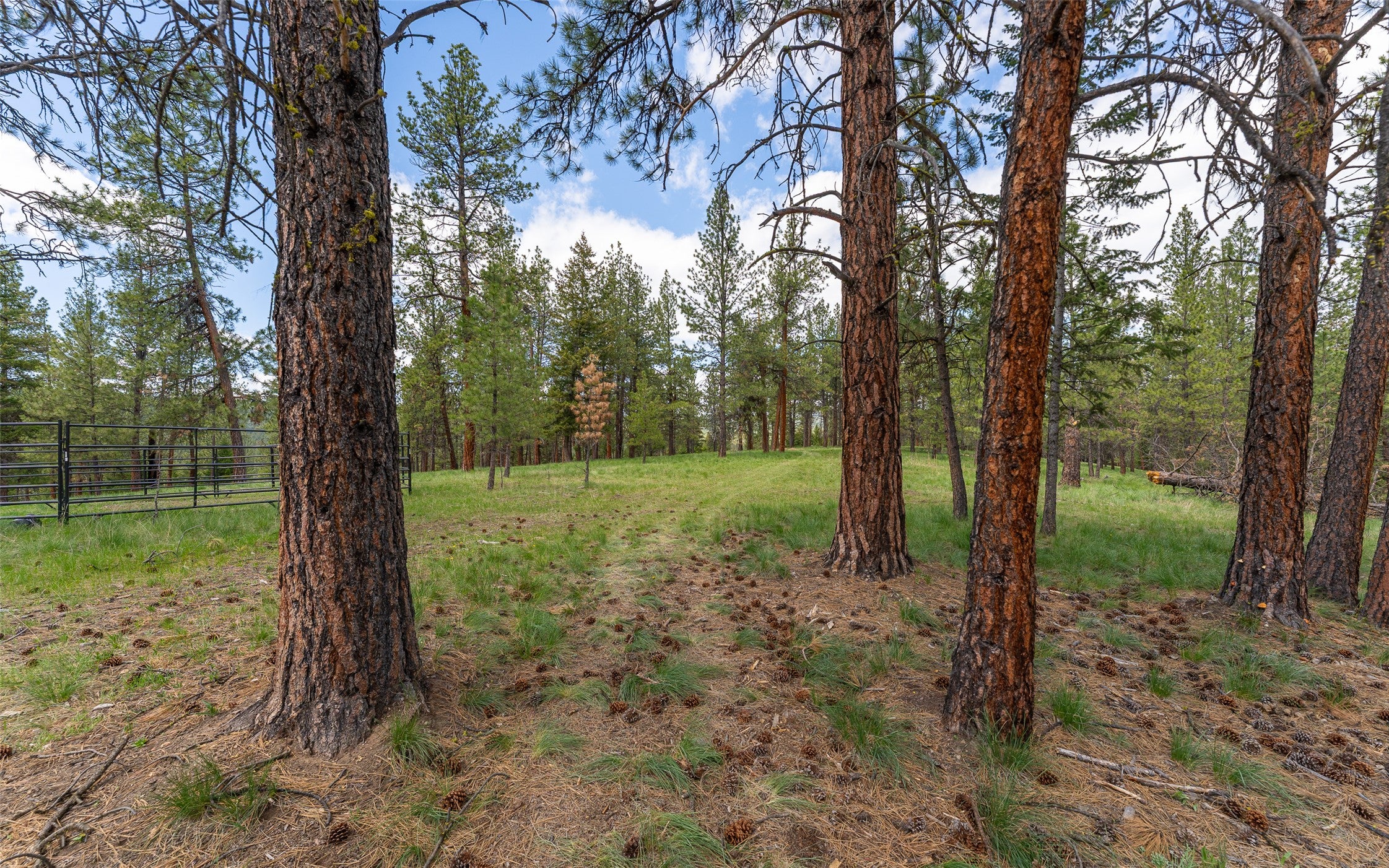 3185 Hubbart Dam Road Marion, MT 59925 - Photo 26 of 105 Gallery Image 26