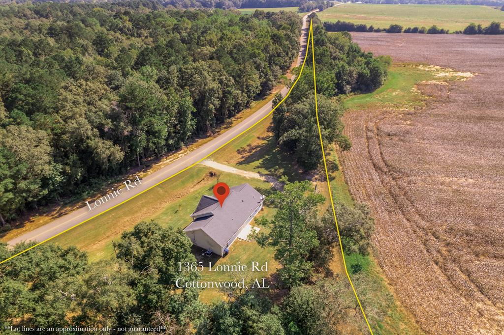 1365 Lonnie Road Slocomb, AL 36375 - Photo 5 of 53