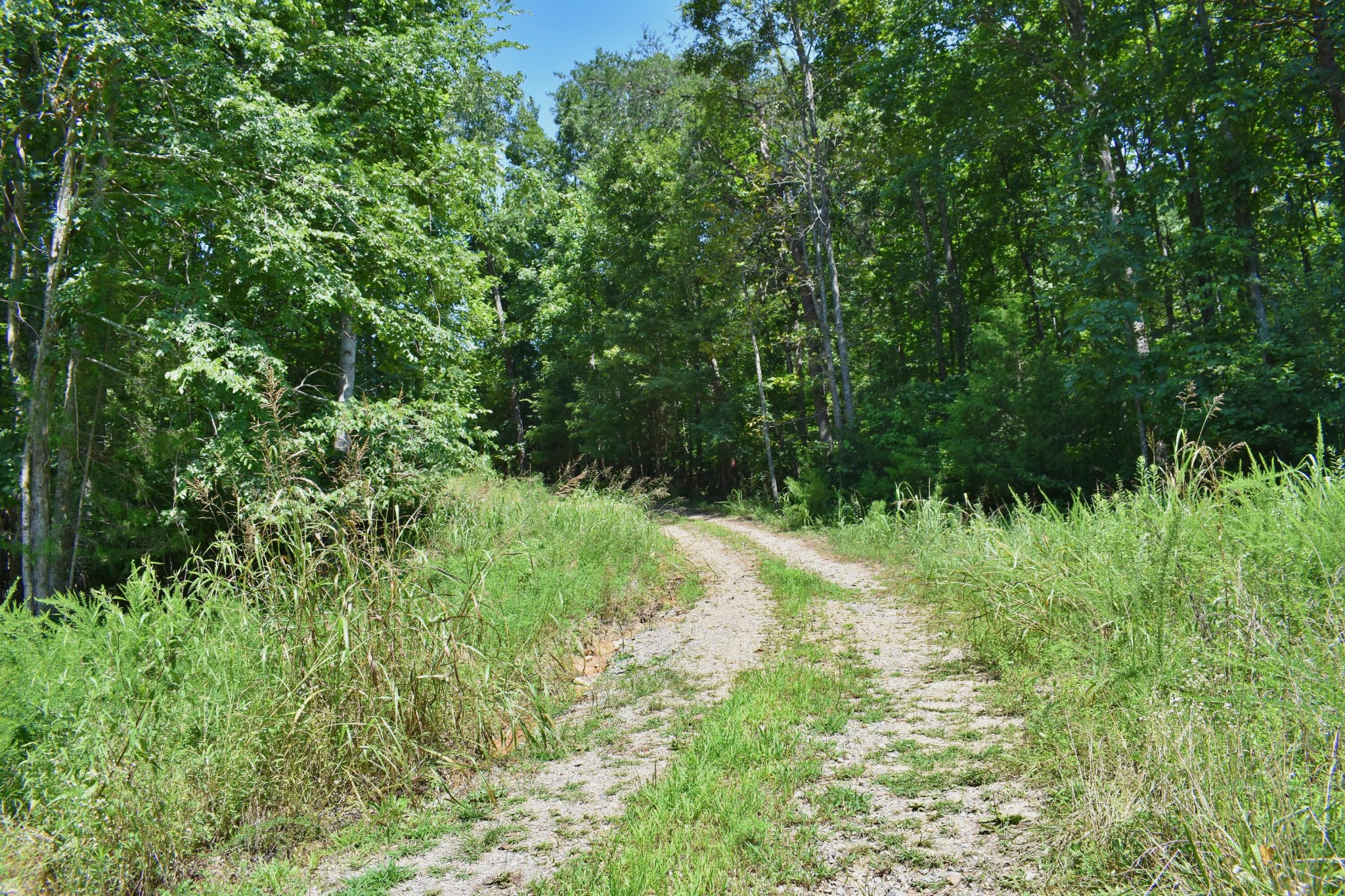 521 Norton Road Philadelphia, TN 37846 - Photo 40 of 42