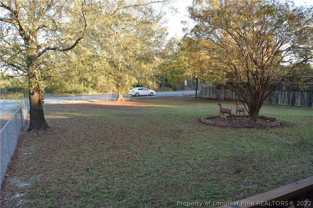 9524 Rockfish Road Raeford, NC 28376 - Photo 24 of 35 a big yard with lots of green space and trees