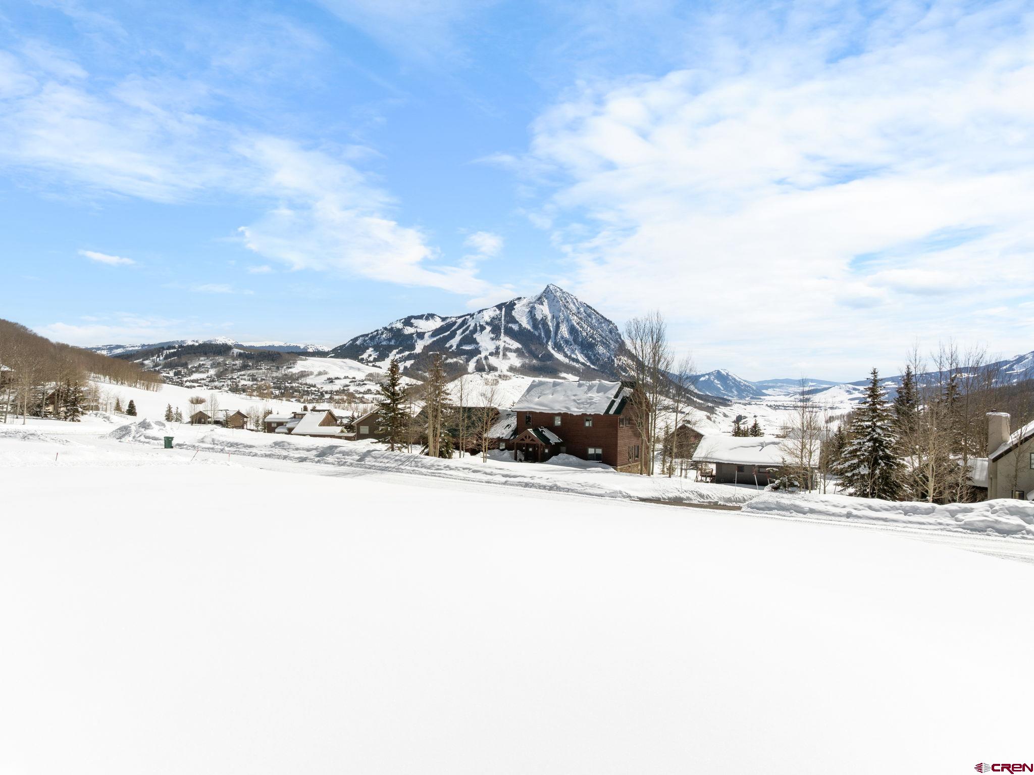 75 Wolverine Circle Crested Butte, CO 81224 - Photo 17 of 24