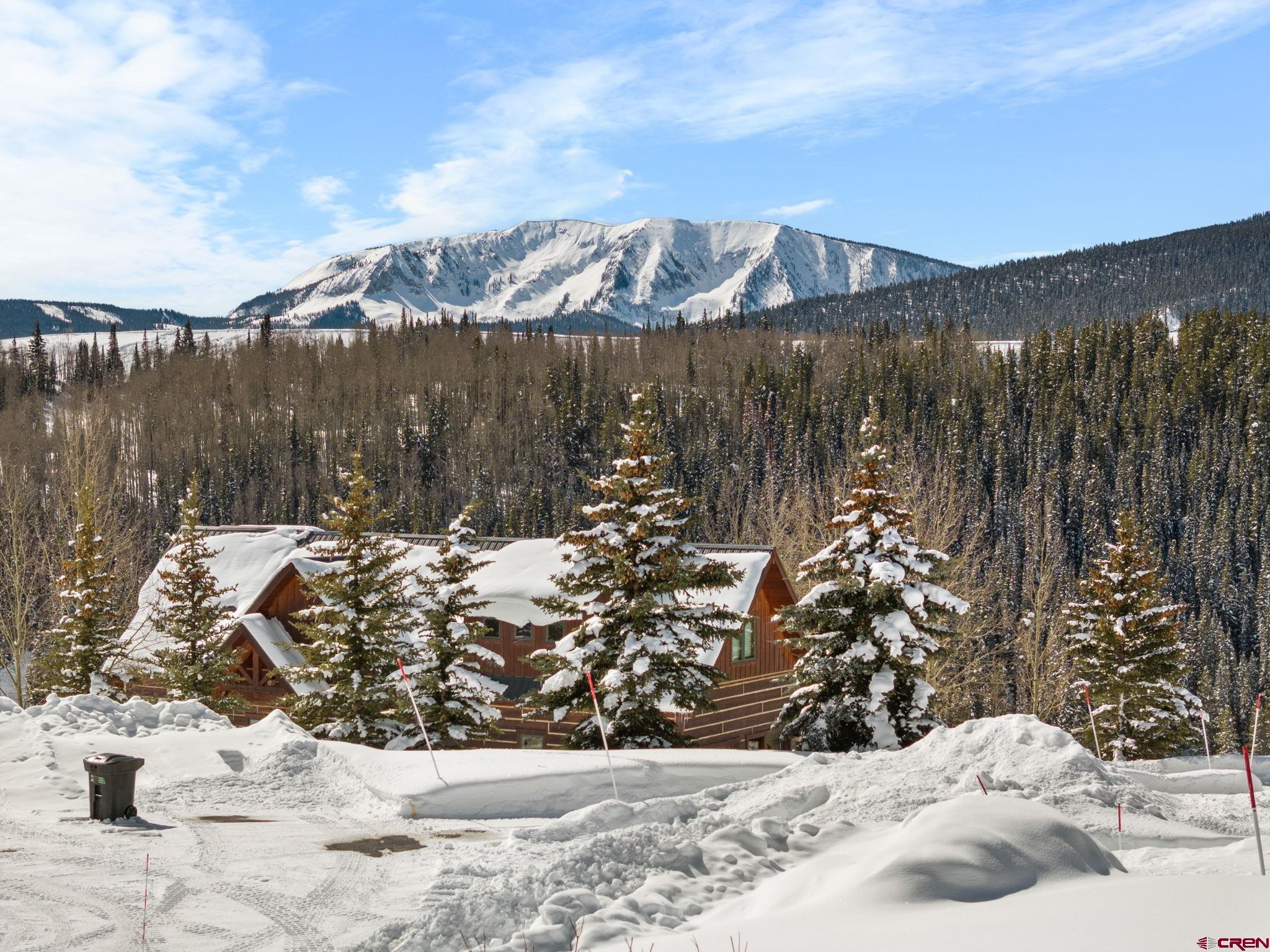 75 Wolverine Circle Crested Butte, CO 81224 - Photo 19 of 24