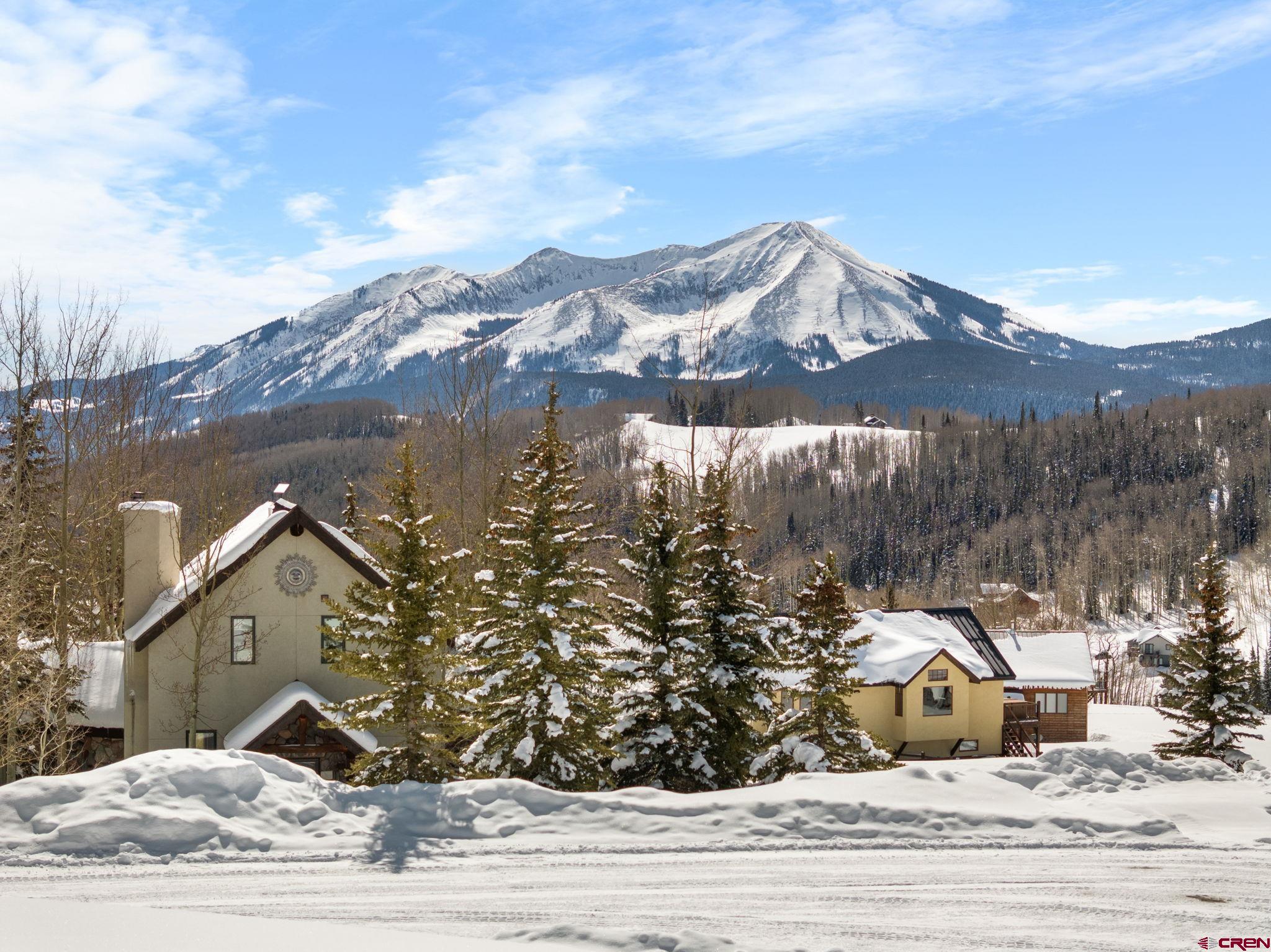 75 Wolverine Circle Crested Butte, CO 81224 - Photo 20 of 24