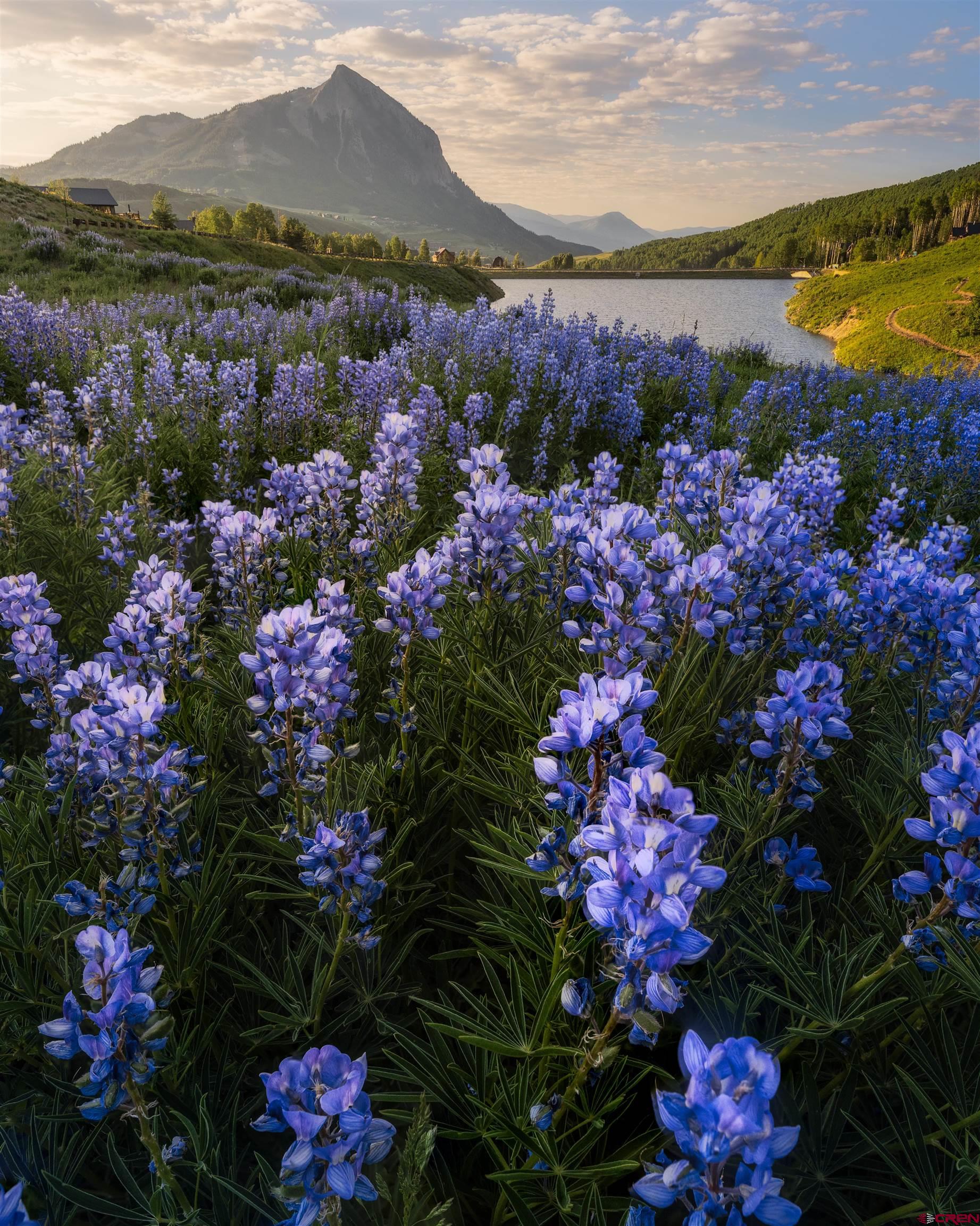 75 Wolverine Circle Crested Butte, CO 81224 - Photo 24 of 24