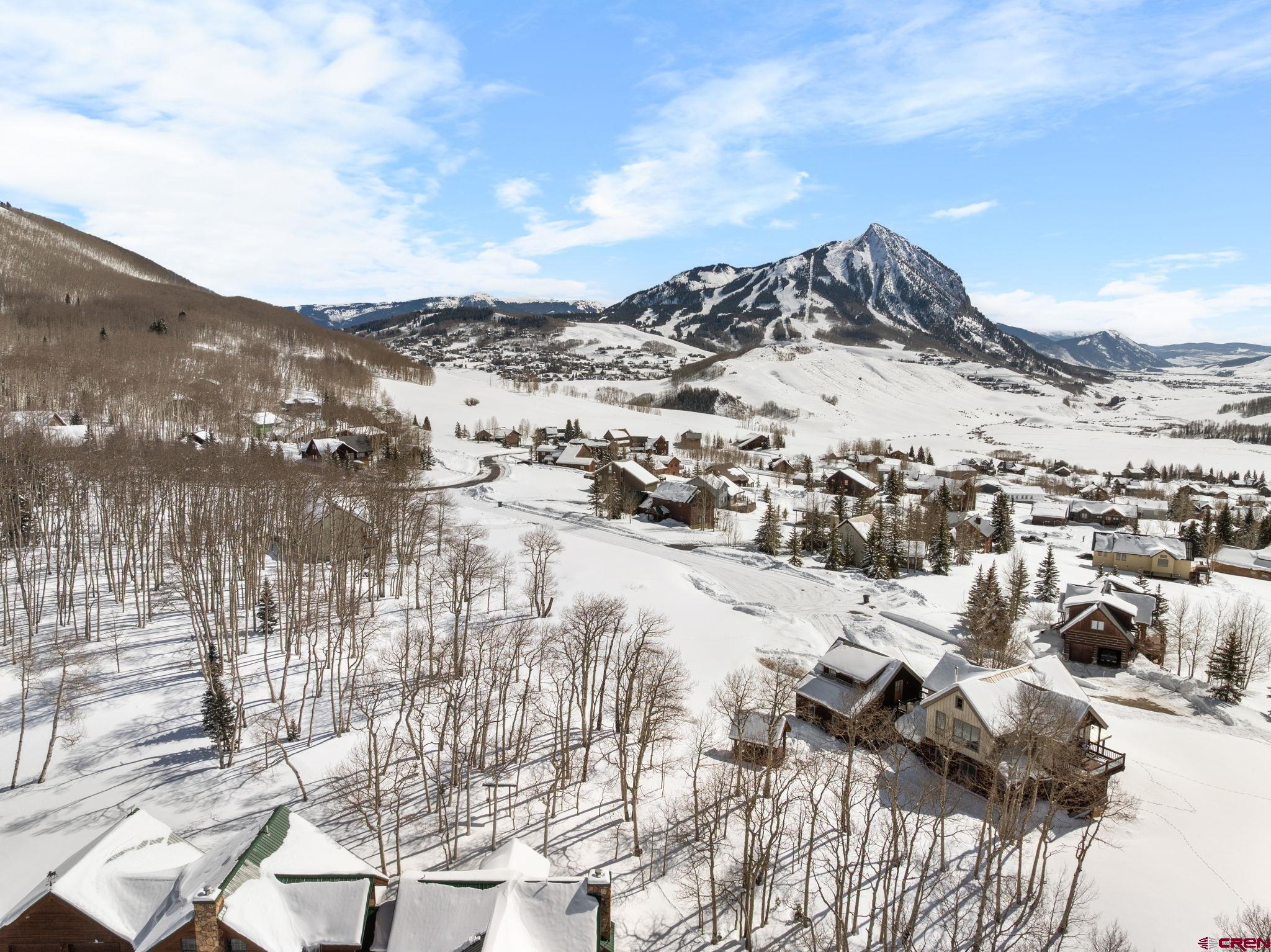 75 Wolverine Circle Crested Butte, CO 81224 - Photo 10 of 24