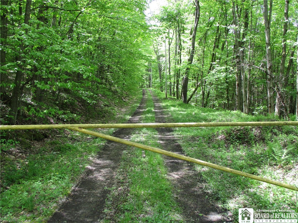 Yankee Road Cuba, NY 14727 - Photo 11 of 31