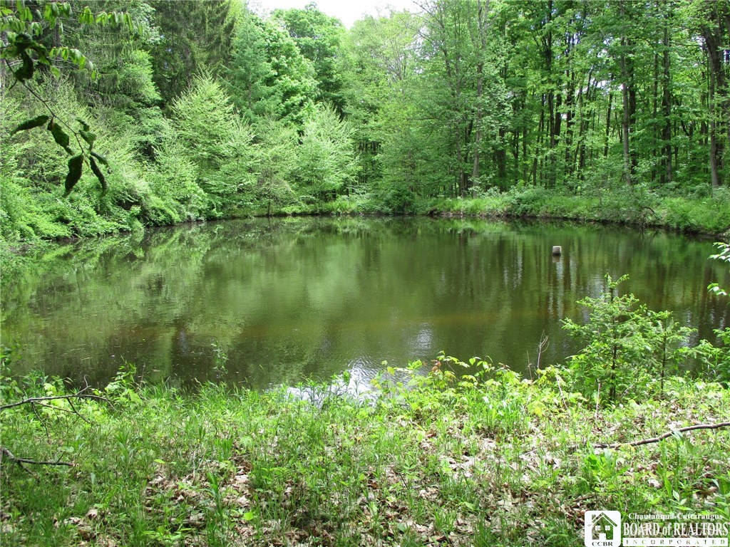 Yankee Road Cuba, NY 14727 - Photo 12 of 31